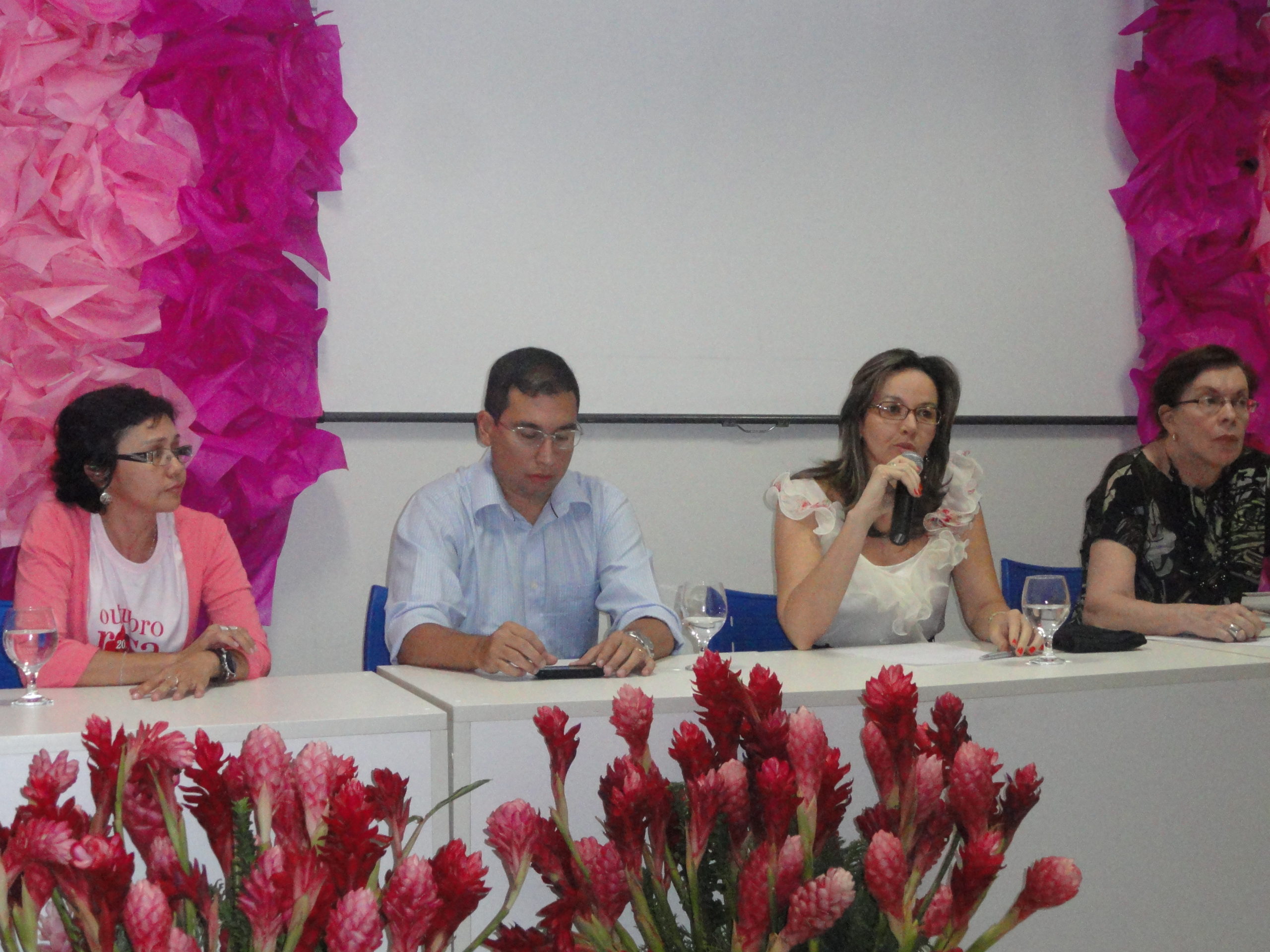 Participação da Promotora de Justiça Cláudia Seabra na mesa redonda sobre os Diretos dos Pacientes com Câncer