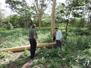 Promotor de Justiça (esquerda) e perito do Ministério Público conduziram vistoria no parque, na zona leste de Teresina