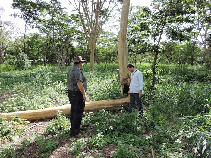 Promotor de Justiça (esquerda) e perito do Ministério Público conduziram vistoria no parque, na zona leste de Teresina