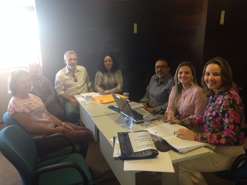 REUNIÃO GT 