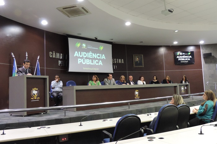 Pessoas no plenário da câmara municipal e Teresina