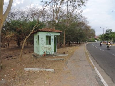 Floresta Fóssil