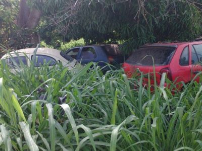 Carros em matagal