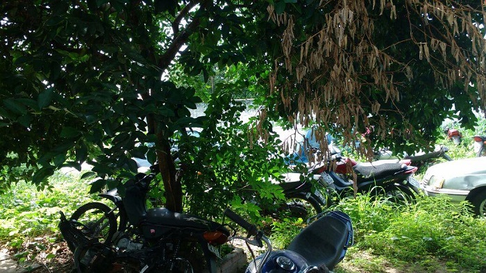 motos no pátio da delegacia