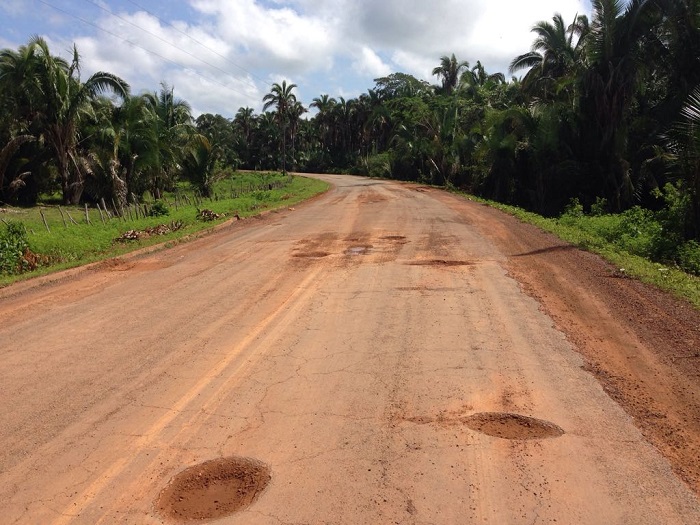 estrada com acostamento cheio de mato