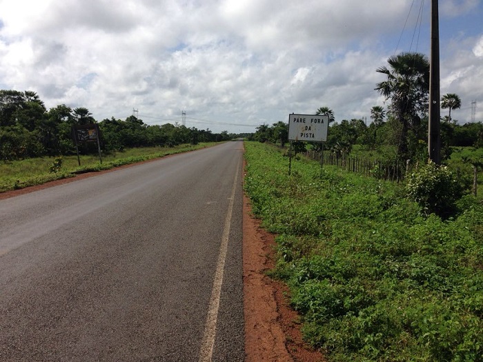 estrada com acostamento cheio de mato