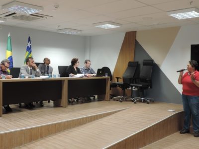 Mulher de pé com microfone nas mãos, enquanto outras pessoas a observam