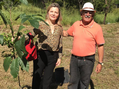 Mulher e Homem perto de árvores