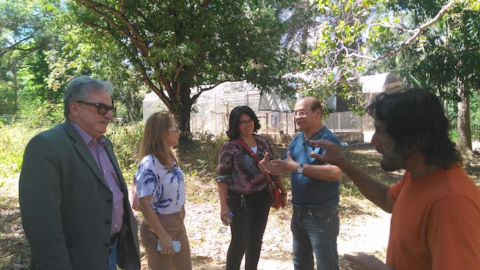 Equipe de inspeção conversa em ambiente aberto