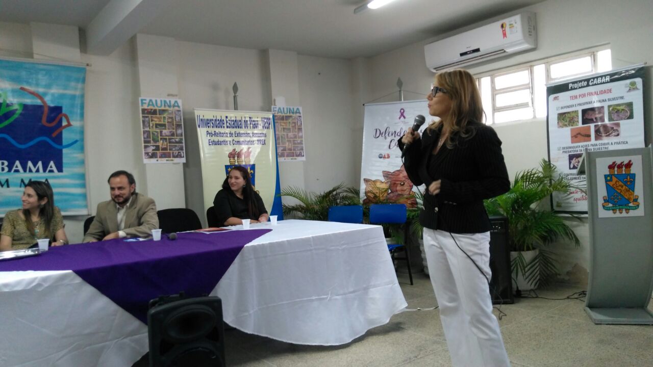 Promotora de Justiça ministrando palestra