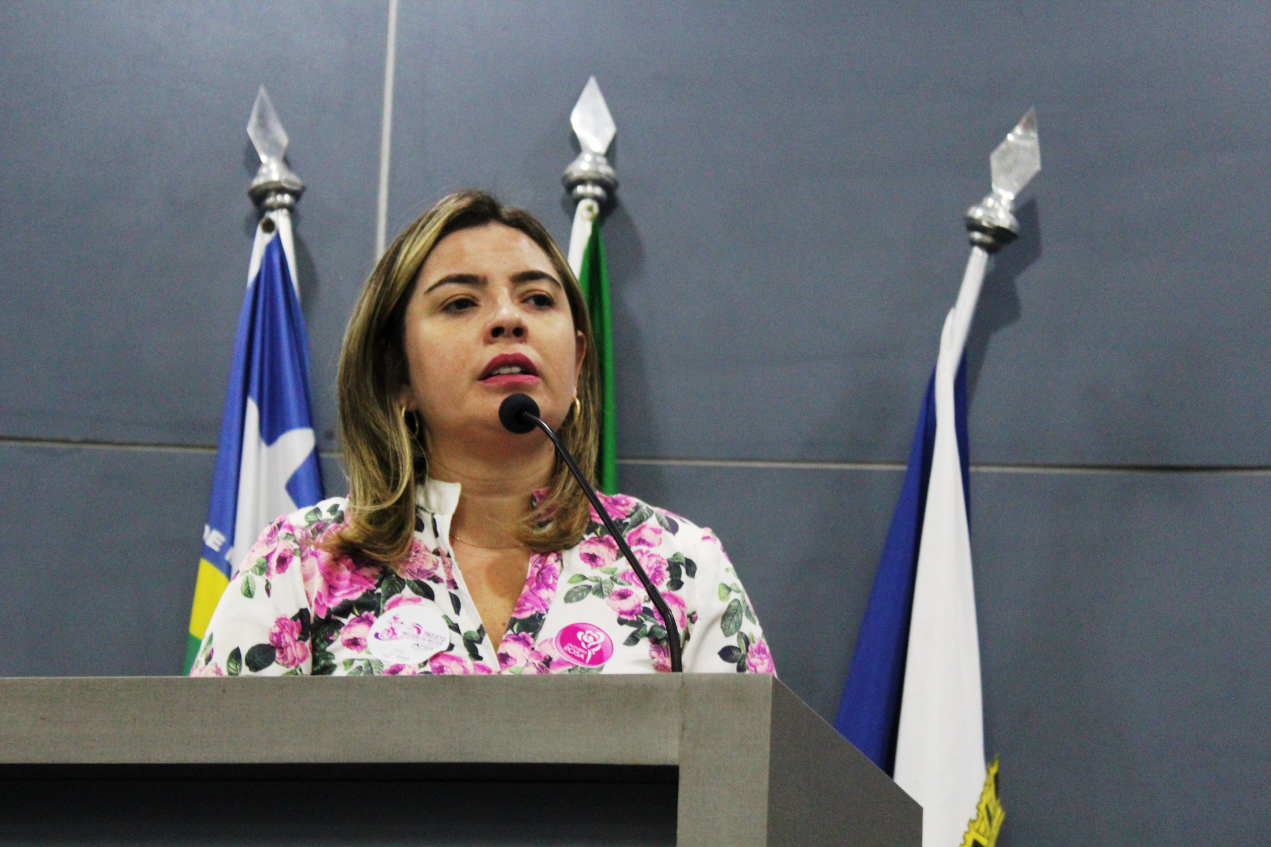 Mulher falando atrás de uma bancada 