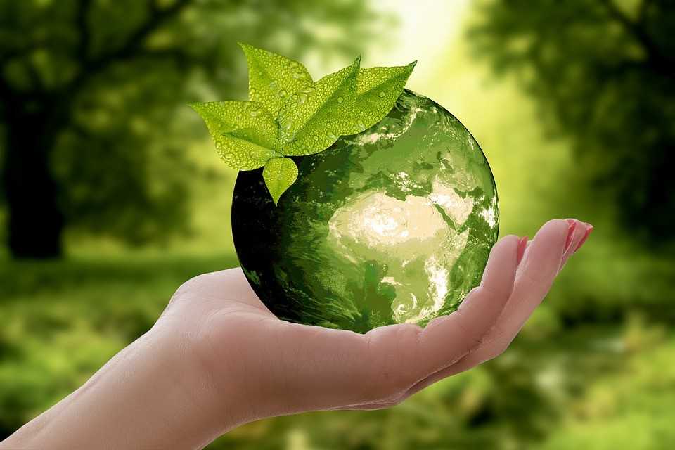 Imagem de mão feminina segurando o planeta terra, que está representado na cor verde.