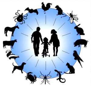 Zoonoses