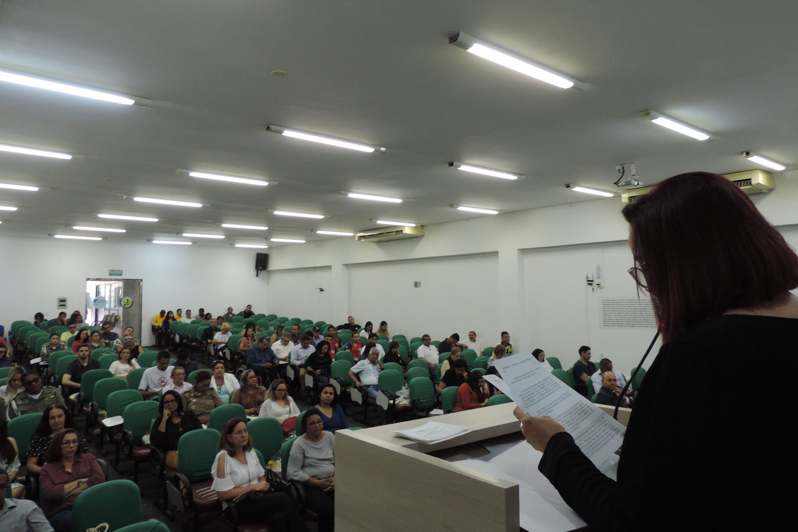 Pessoa de pé falando para plateia 