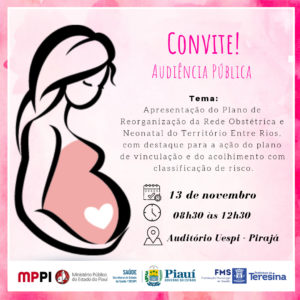 Banner com ilustração representando mulher gestante