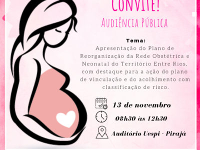 Banner com ilustração representando mulher gestante