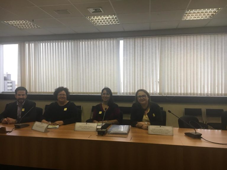 Promotora de Justiça em reunião no CNDI