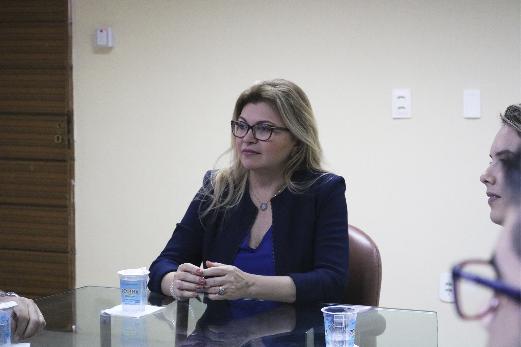Subprocuradora de Justiça Administrativa Carmelina Moura