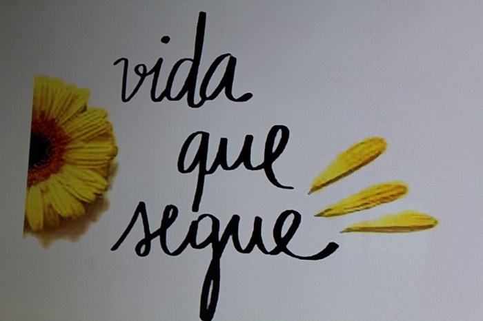 Frase vida que segue