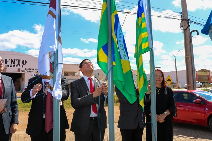 Pessoas de pé hasteando bandeiras 