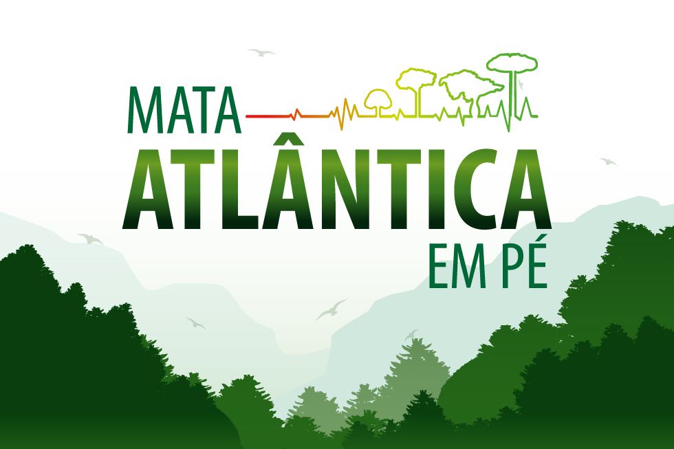 Banner da ação nacional Mata Atlância em Pé