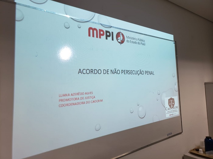 Foto da tela de apresentação do acordo de não-persecução penal 