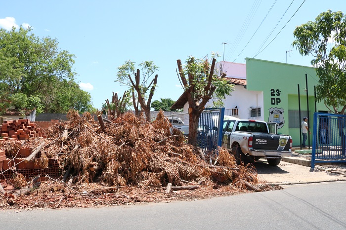 Restos de árvores jogadas ao lado do 23º DP