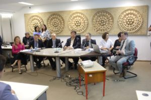 Procuradora-Geral de Justiça Carmelina Moura participa de audiência na ALEPI