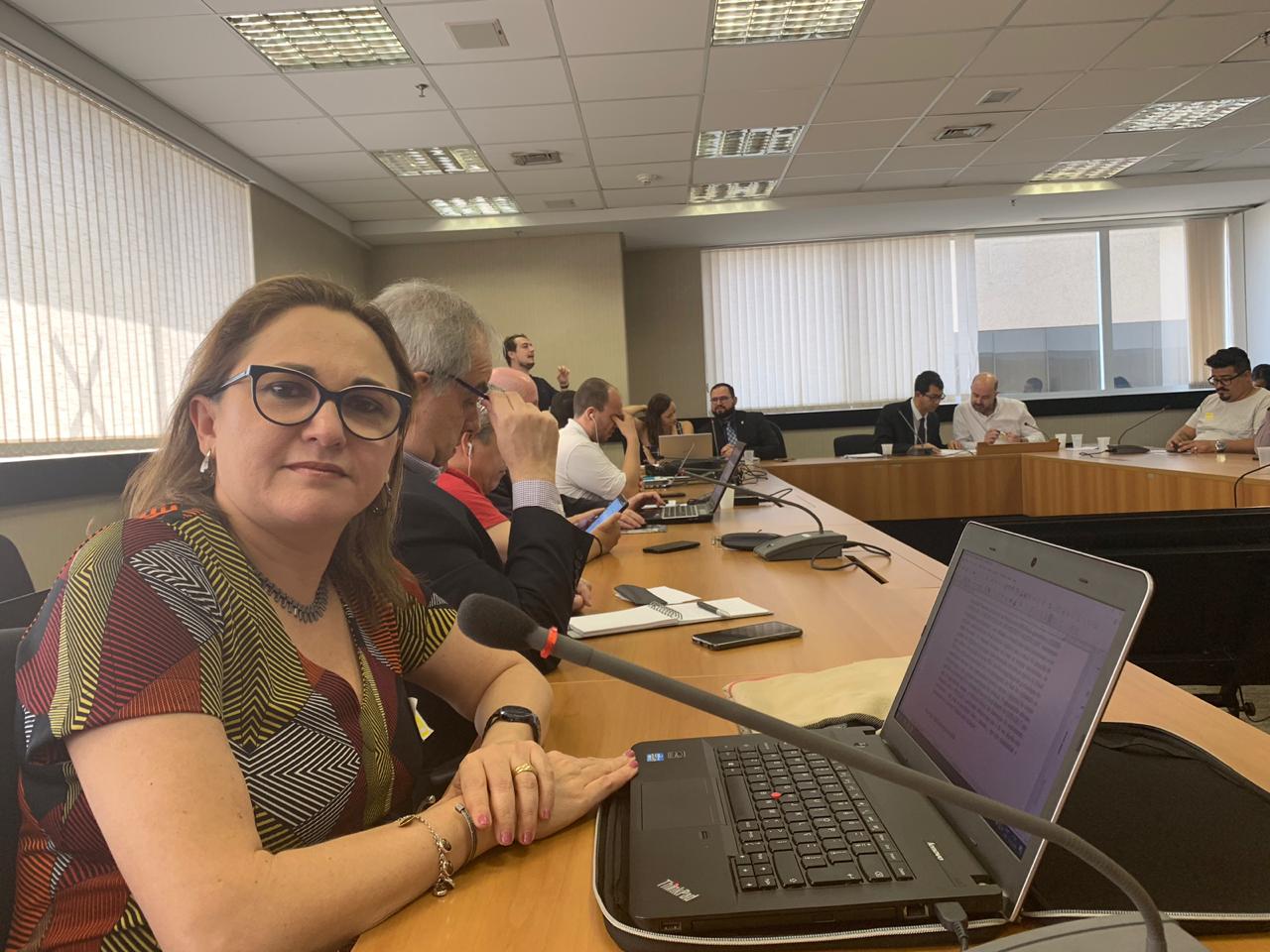 Promotora de Justiça em reunião do CONADE