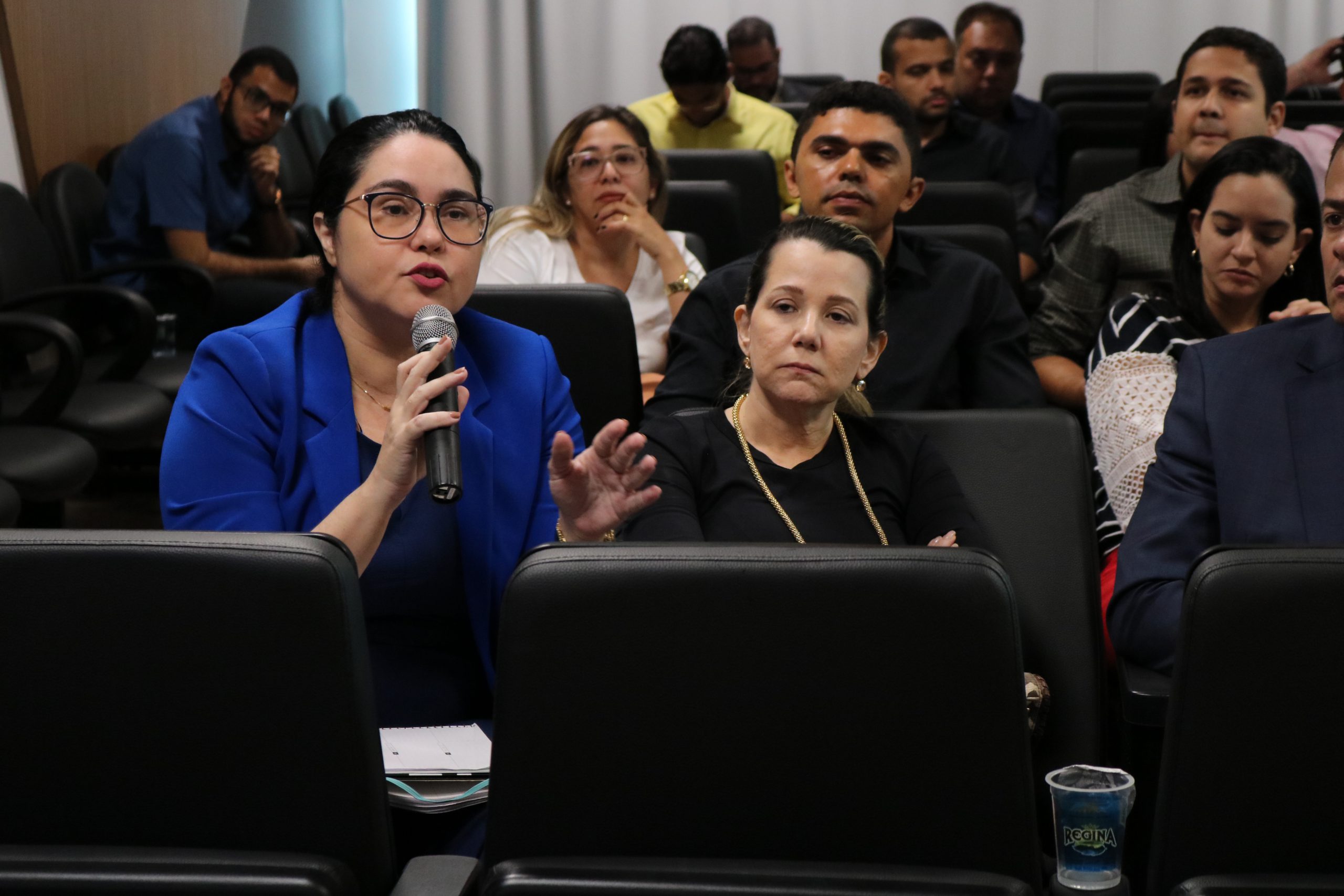 Promotora de Justiça