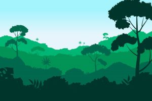IMagem de uma floresta