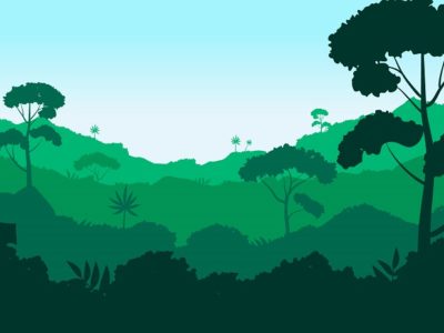 IMagem de uma floresta