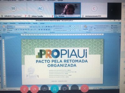 Imagem de uma tela de computador com informações sobre o Plano Pro Piaui