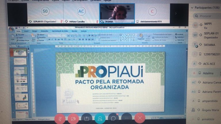 Imagem de uma tela de computador com informações sobre o Plano Pro Piaui