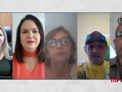 Montagem com participantes do webinar sobre meio ambiente.