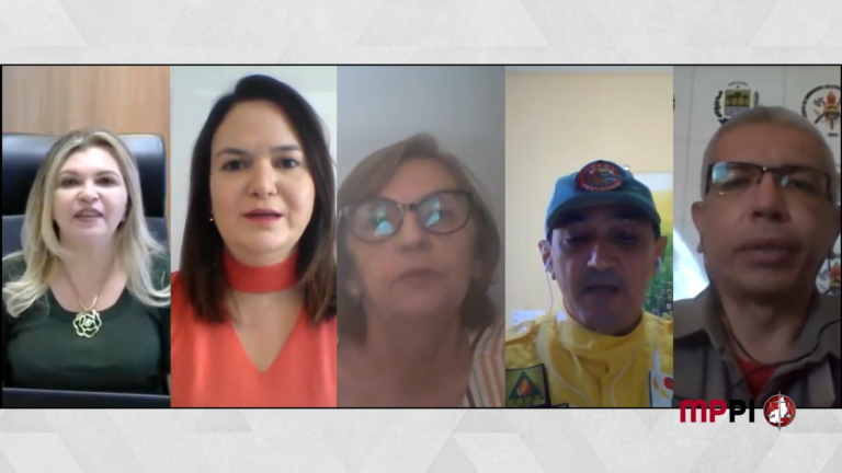 Montagem com participantes do webinar sobre meio ambiente.