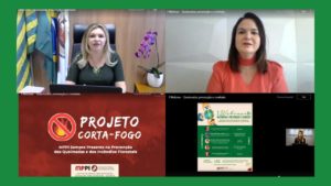 Tela com imagens capturados do computador durante webinar sobre queimadas organizado pelo Caoma