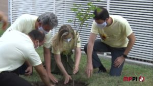 PGJ do Piauí e membros da instituição durante ação de plantio de mudas de ipê.